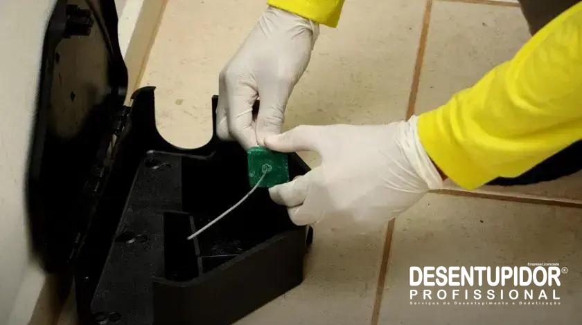 A Importância de Contratar Profissionais para Eliminar Ratos Seguramente