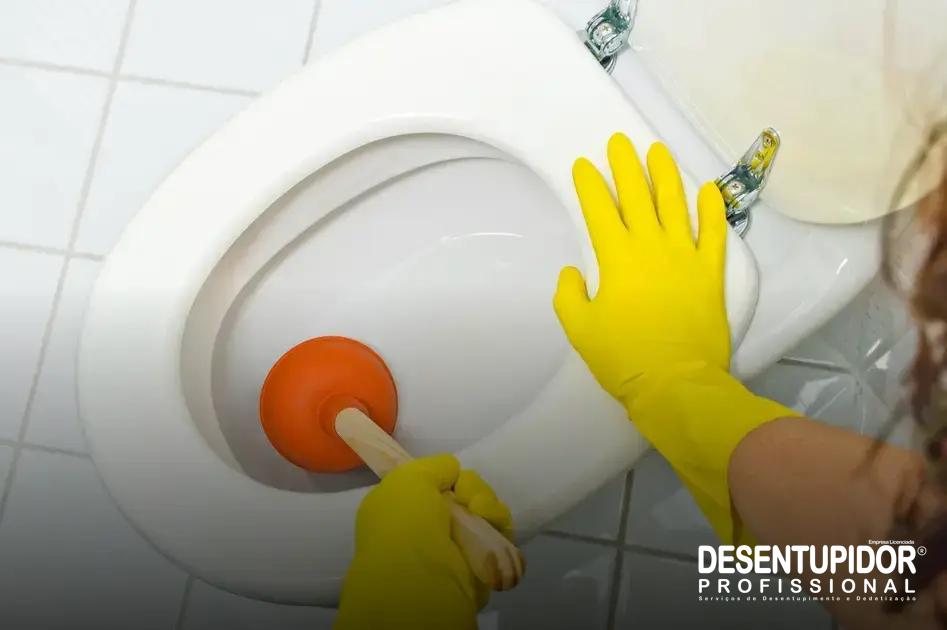 Erros Comuns que Levam à Obstrução de Vasos Sanitários