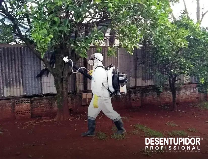 Benefícios de Longo Prazo de um Contrato com Dedetizadora