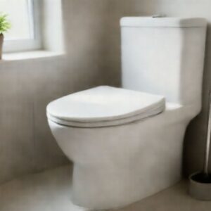 Desentupimento de Vaso Sanitário na Mooca: Soluções Eficazes e Profissionais